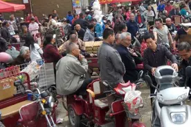 保定市赶集时间表及赶会时间表大全图片