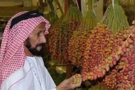 阿联酋要捐赠10万株椰枣树苗给中国，椰枣是啥？我国为啥非常重视图片