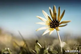 一个人好运来临之前，先要扛过这几件“倒霉事”图片