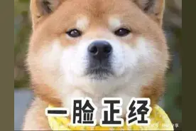 “白嫖”难登大雅之堂图片