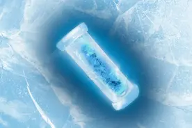 百万年前的秘密：南极气候变化图片