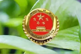 12岁追星女孩误以为加到偶像本人，3小时被“批量转账”45万元图片