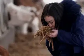 2010年上海女白领回老家养牛，卖牛粪赚千万，十年后一年赚1.6亿图片