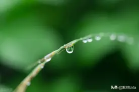 50岁女人：我只是个保姆，没有义务帮你干份外的活，5000也不干了图片