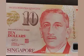 新加坡钱币简介图片