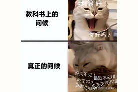 冤冤相报何时了！外国人用梗图吐槽汉语难学，仿佛看到当年的自己图片