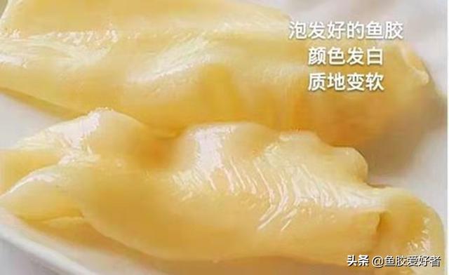 鱼胶用温水还是冷水泡 2026年鱼胶用冷水泡吗