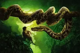 真实的巨蟒吞人事件，蟒蛇袭击人时，如果手中有刀能否顺利逃生？图片