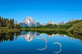 头条写好后第一时间置顶，让展现量多几倍，你知道这个操作吗图片