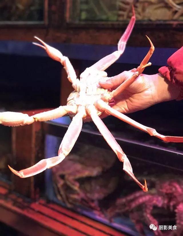 40头的花胶是几级 2025年花胶40头是什么意思?