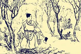 民间故事：樵夫进山砍柴，半路遇盗匪拦截，他抱紧大树躲过一劫图片