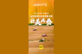 打造乡村振兴齐鲁样板，山东绘就农业高质量发展壮美画卷图片