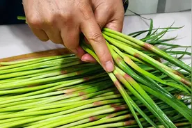 蒜苔尾巴是个宝，别不懂吃，教你好吃的做法，上桌瞬间被抢光图片