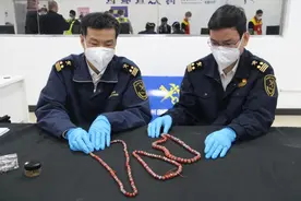 红珊瑚和黄沉香图片