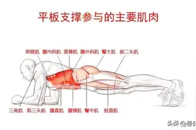 越久越好吗？锻炼平板支撑三分钟是什么水平图片