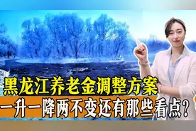 2023年黑龙江公布养老金调整方案，一升一降两不变，还有哪些看点？一起了解图片