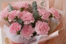 女性长辈过生日——送什么花图片