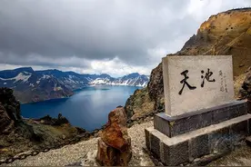 长白山有种“谜”样的老牛肝，它除了是药材，还有三个特殊的用途图片