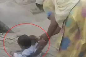 印度爆发“人猴大战”，2月大婴儿被群猴淹死，猴子为何恨人类？图片