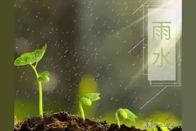 天地否卦——六十四卦详解图片
