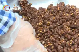 马关豆豉 冬腊月的家乡味图片