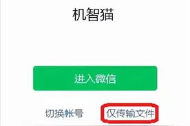 微信刚需功能上线，终于等到了图片