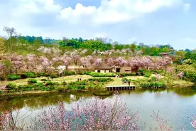 西安周边一日游：在这家宝藏露营地，体验无限量林间烧烤图片