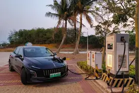 海南的车，你也敢租？图片