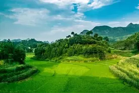 农村俗语：“宁可房屋出场小，不可门前有人田”，是什么意思？图片