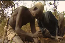 非洲部落狩猎巨蟒的真实场景，巨蟒头被锤烂都还死缠不放！纪录片图片
