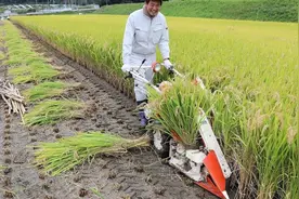 日本先进微耕技术：一个老人就能管理整片耕田，我们可以借鉴吗？图片