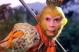 影视剧中13个版本的孙悟空，你更喜欢哪个，最反感哪个？图片