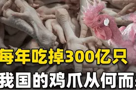 鸡爪15元一串：1年吃掉300亿只，3年涨价2倍！鸡爪为啥越来越贵？图片