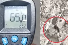 多地持续高温，蚂蚁扔马路上活不过3秒！那人能承受多高的气温？图片