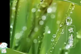 白露时节丨《梦华录》中提到的“秋社”与它有关→图片
