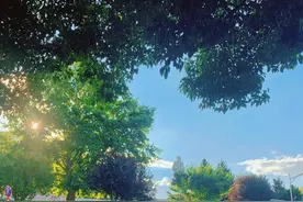 遇事不要慌，十步教你解决问题图片