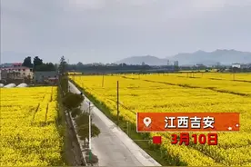 江西男子花97万在农村为妈妈和妹妹盖自建房，推开窗就是油菜花海：平时妈妈和妹妹住，周末我和老婆会回家图片