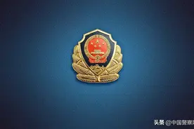 为保持国泰民安的社会环境担当奋斗——习近平总书记春节团拜会重要讲话在全国公安机关引发热烈反响图片