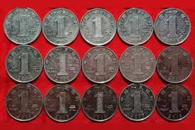 菊花1元也珍贵，工作币拍了6万多，2个年份别乱花图片