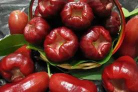 颜值高，但不容易好吃的水果：莲雾图片