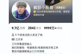 后续炸窝！辛巴曝沫沫替罪”被抓的细节，小杨哥的回应避重就轻图片