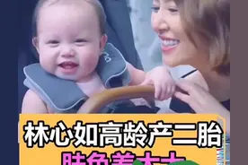 林心如二胎生子？“天涯四美”霍建华有福了，儿女双全是真是假？图片