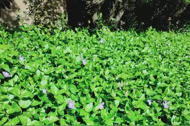 高考后，一位母亲写给孩子的信火了：孩子，我最在乎的不是成绩单图片