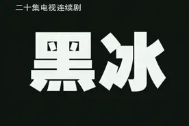 电视剧《黑冰》剧情的漏洞或者不合理图片