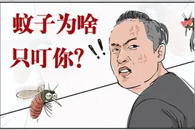 一群人里，为啥蚊子偏偏就咬你？和血型无关，真正原因是这几个图片