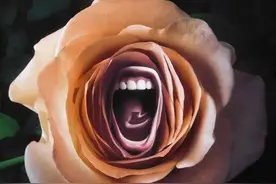 行吧，美就是她最大的错图片