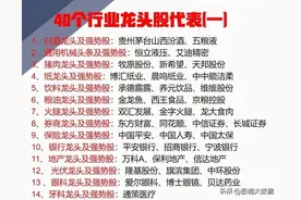A股40个行业龙头股代表大集合图片
