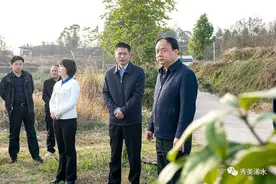 【浠水要闻】付宇深入巴河镇调研党建引领基层治理促进乡村振兴工作图片