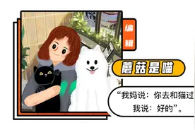 小猫偷外卖被民警当场抓获，公开处刑网友：影响孩子考公务员吗？图片