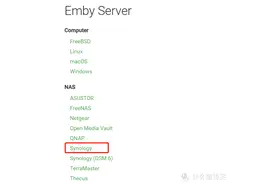 私人影院解决方案-Emby服务端图片